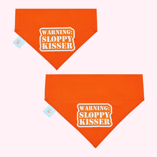 "Warning Sloppy Kisser" Orange Collar Bandana