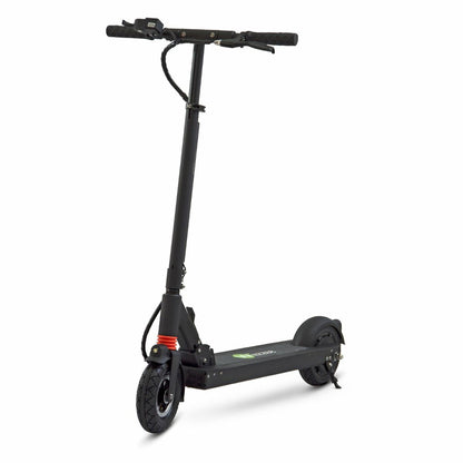 Electric Scooter WiiZZEE Wiizzee WS3 350 W