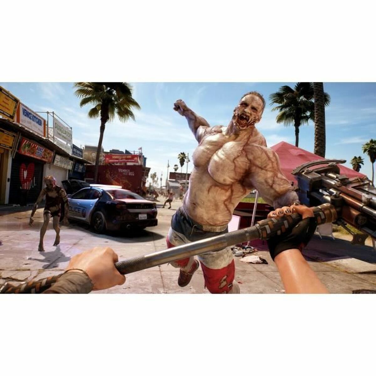 PlayStation 4 Video Game Deep Silver Dead Island 2